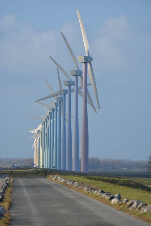 nature windmills netherlands