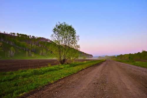 nature landscape road