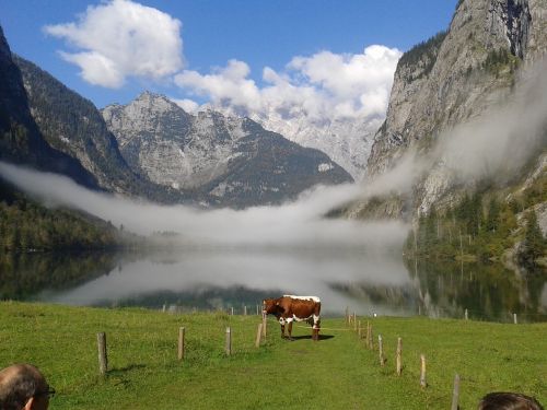 nature landscape almsee