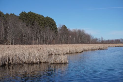 nature ottawa outdoor