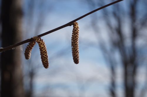 nature ottawa outdoor