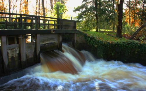 nature water landscape