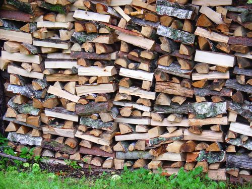 nature wood pile of wood