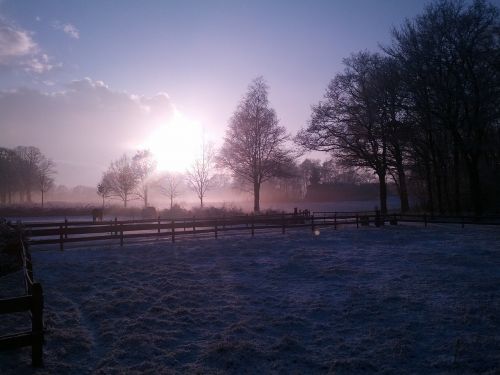 nature landscape winter