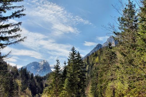 nature mountains forest