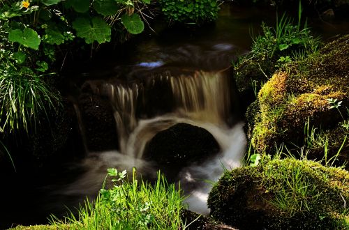 nature river water