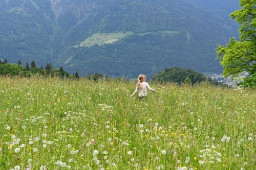 nature landscape meadow