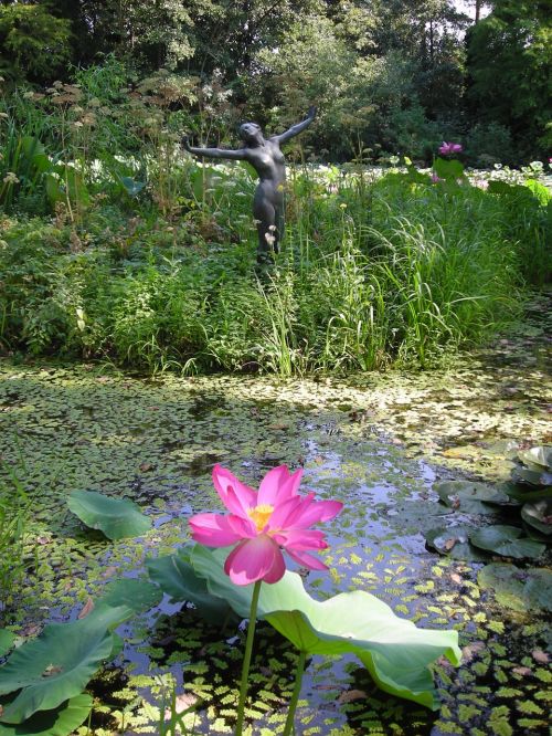 nature water background