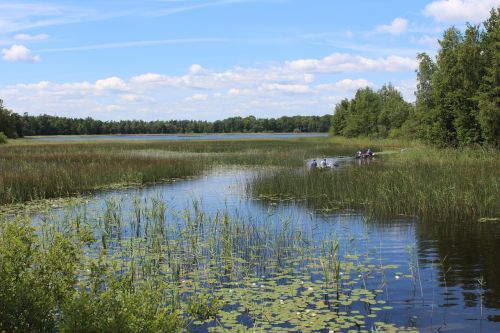 nature lake sweden
