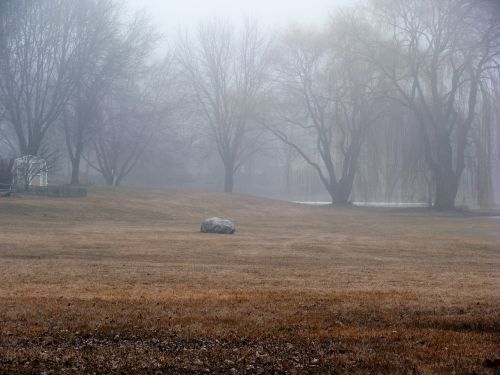 nature landscape scenic