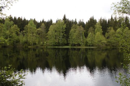 nature landscape water