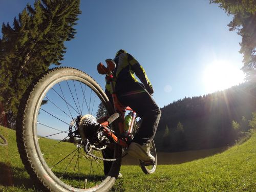 nature bike lake