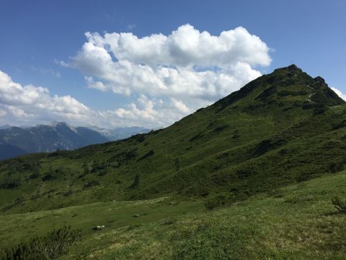 nature austria mountain