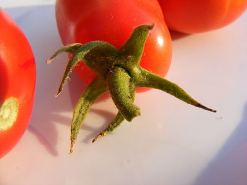 nature fruits vegetables