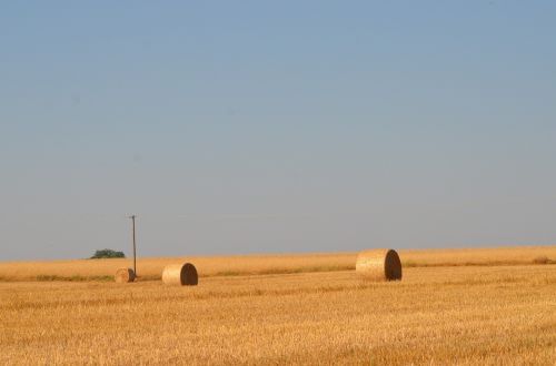 nature landscape sunny