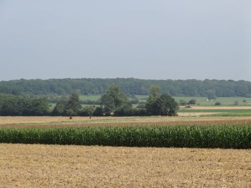 nature landscape belgium