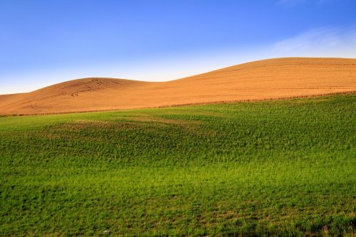 nature cereals landscape