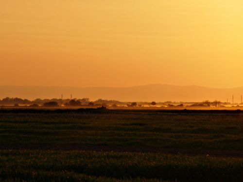 nature sunset field