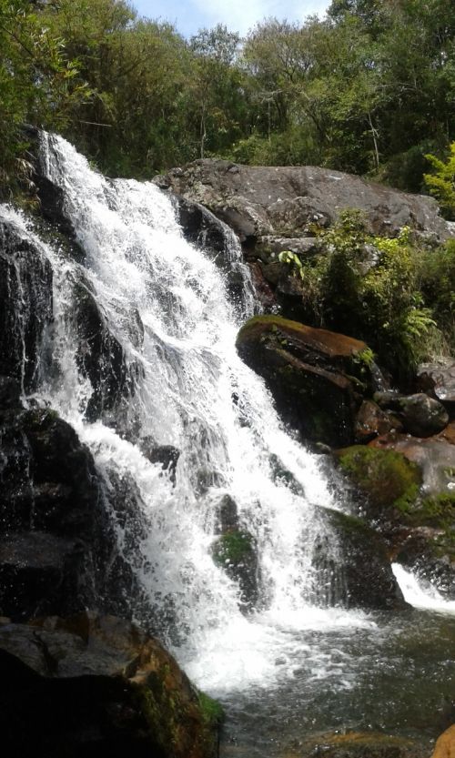 nature waterfall rocks