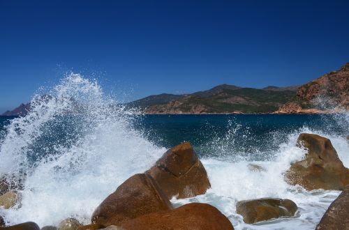 nature corsican beach