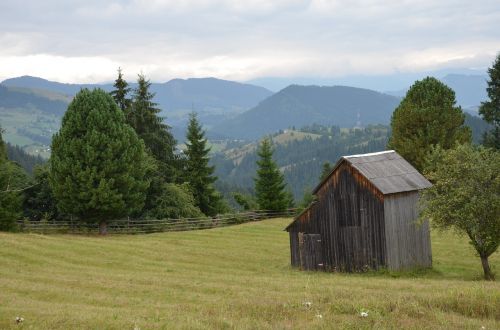 nature ukraine mountains