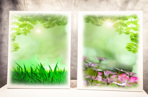 Nature Background On The Canvases