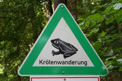 nature conservation  toad migration  attention