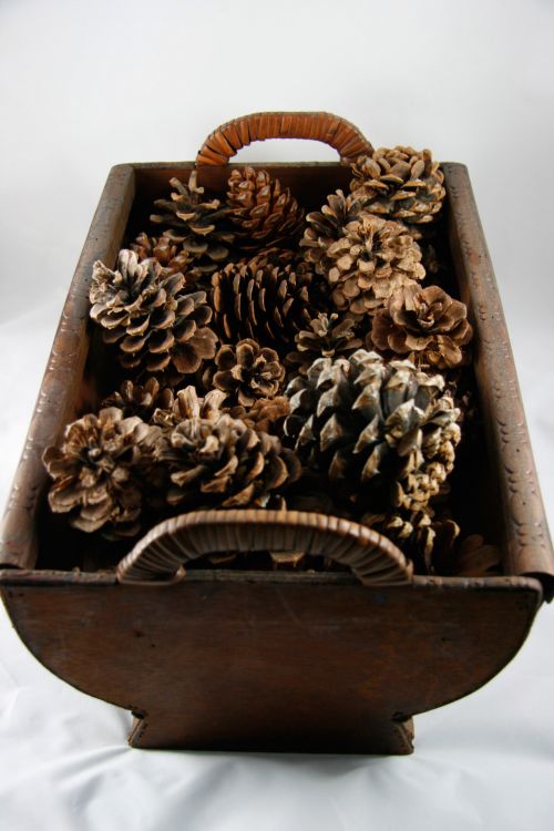 Nature Pine Cones Basket