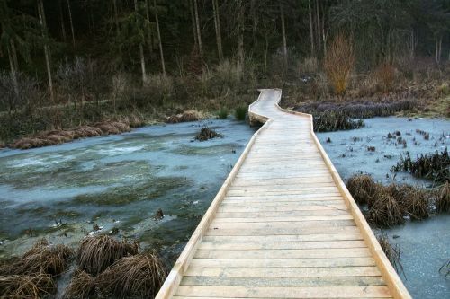 nature reserve landscape web