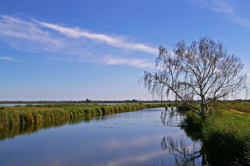 nature reserve  kamp  landscape