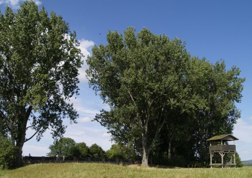 nature reserve weschnitzwiesen bridge