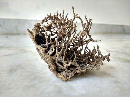 nature sculp termite made mobile click