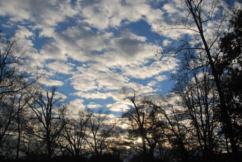 Nature Sky