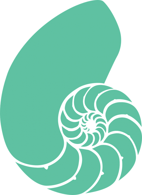 nautilus snail prehistoric