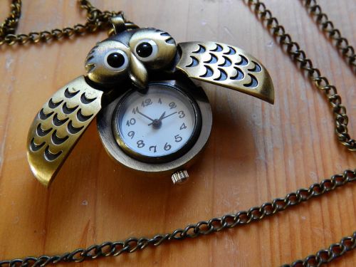 necklace chain owl