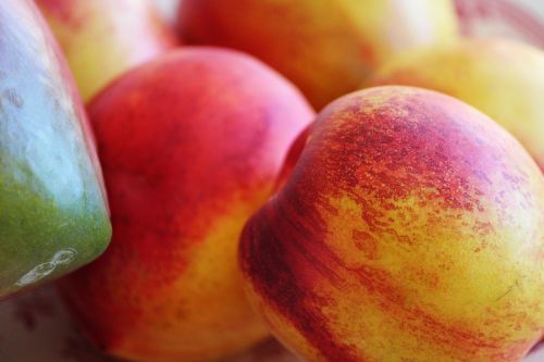 nectarine mango fruits