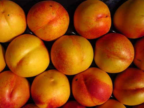 nectarine fruit fruits