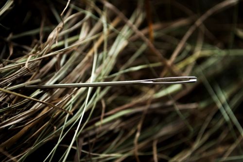 needle hay needle in a haystack
