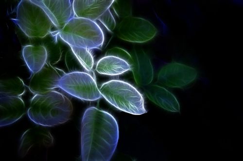 Neon Glow Foliage
