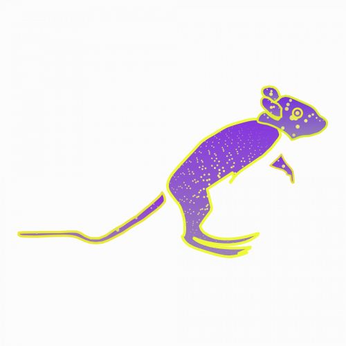 Neon Mouse