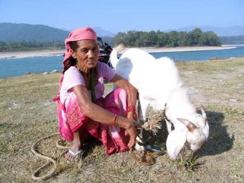 nepal old woman elderly