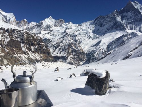 nepal tea himalaya