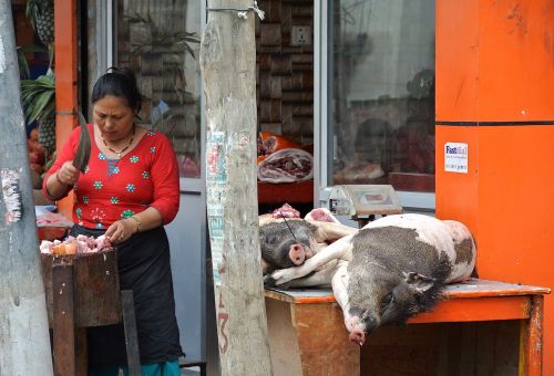 nepal kathmandu woman