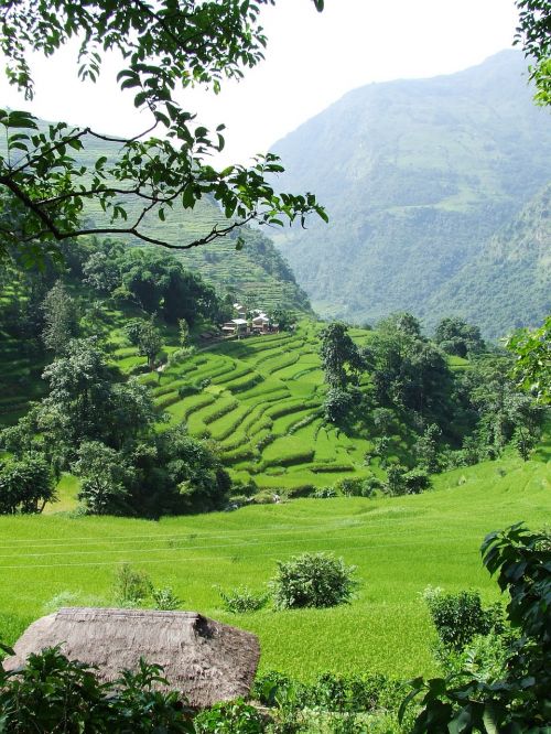 nepal annapurna trekking