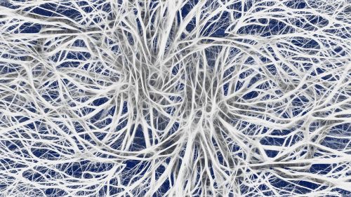 nerves cells dendrites sepia