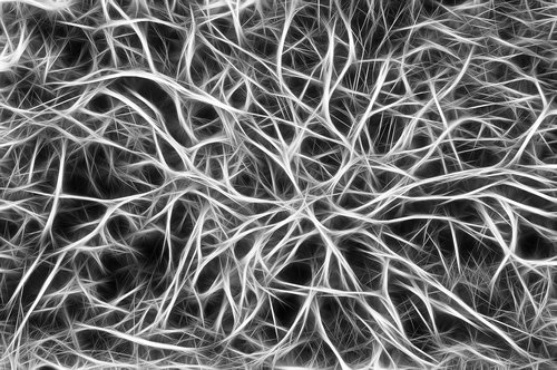 nerves  cells  dendrites sepia