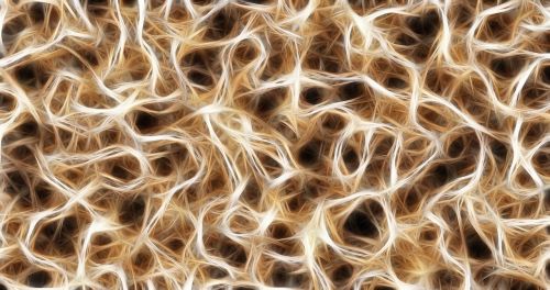 nerves cells dendrites sepia