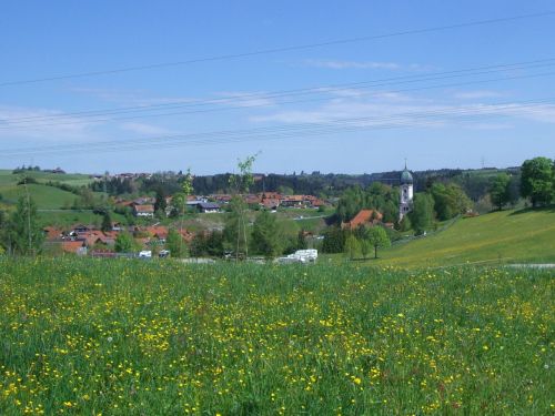 nesselwang flower meadow allgäu