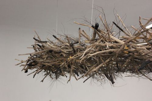 nest twig wood