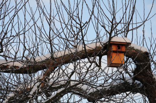 nesting box winter hatchery